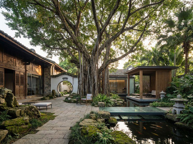 香蕉视频古榕树纪录片视频