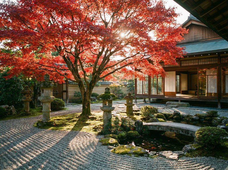 香蕉视频红枫视频